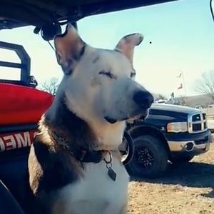 Meet your Posher, Jan